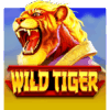 Wild Tiger Slot Review