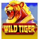 Wild Tiger Slot Review