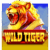 Wild Tiger Slot Review