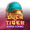 Luck of Tiger Pokie Review