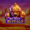 Big Wild Buffalo Pokie Review