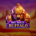 Big Wild Buffalo Pokie Review