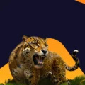 Mighty Wild: Jaguar Pokie Review