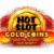 Hot Slot: Gold Coins