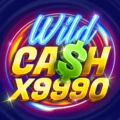 Wild Cash X9990 slot