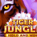 Tiger Jungle Hold and Win slot review