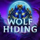Wolf Hiding