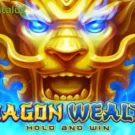 Dragon Wealth slot review